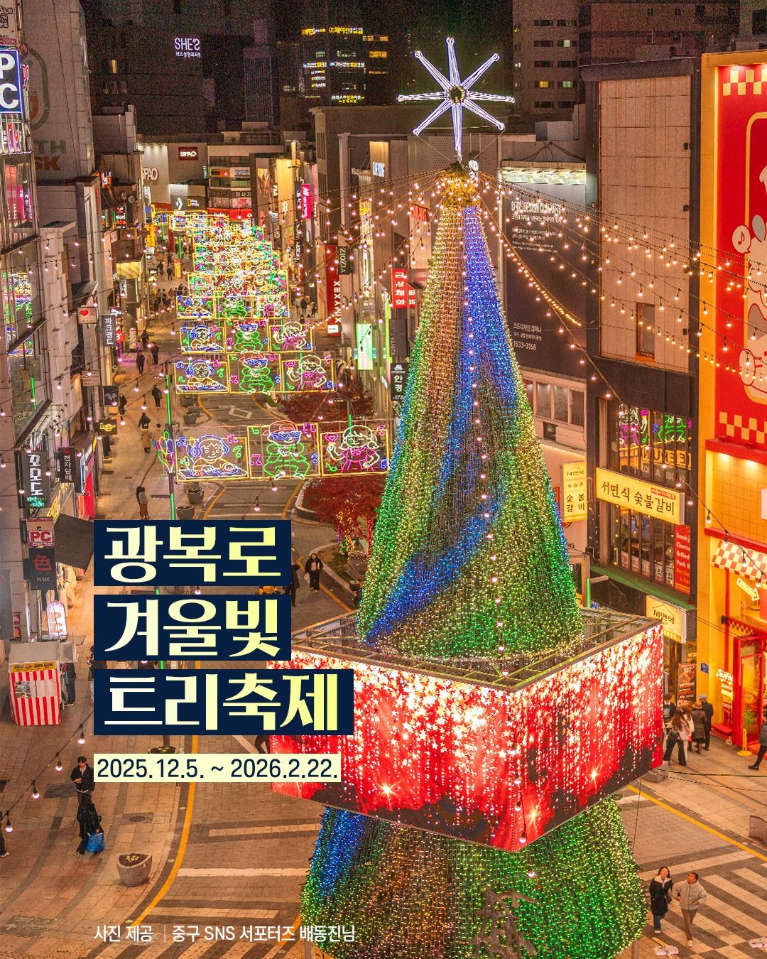 부산 광복로 겨울빛 트리축제 