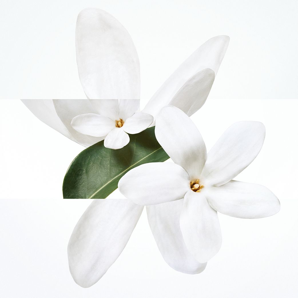 이국적인 티아레 꽃향기에 타마누 열매, 산호 어코드, 미네랄 노트를 더한 운 자르뎅 수 라 메르 오 드 뚜왈렛, 30ml 11만2천원, 50ml 16만5천원, 100ml 24만5천원, Hermès.