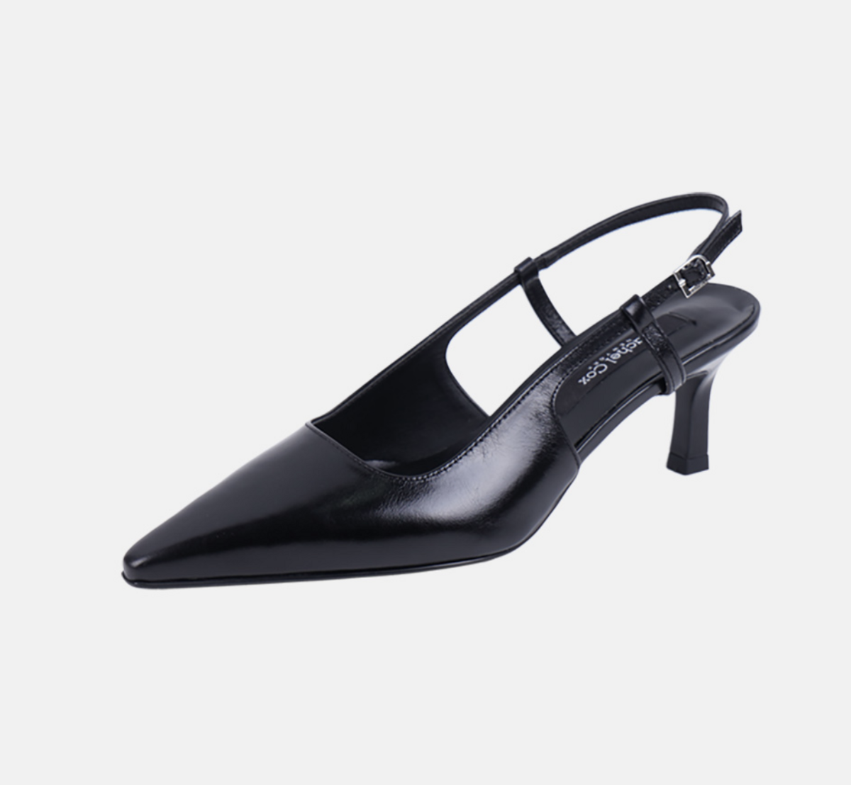 Lueur Slingback Pumps