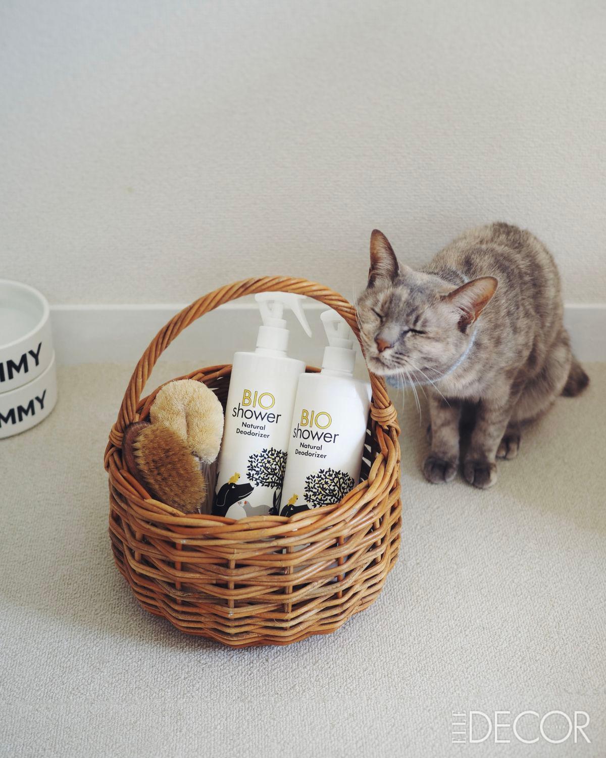 Apollo & Char New Habit의 ‘BIO shower’.