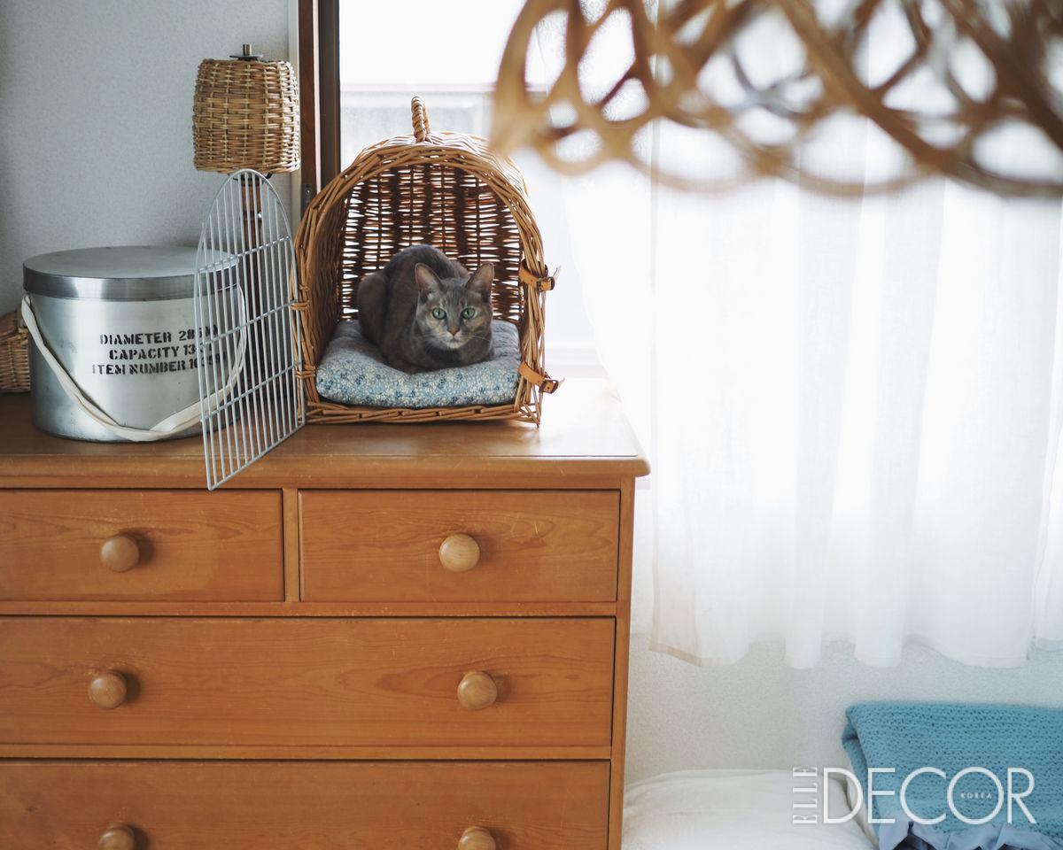 Cinq의 ‘펫 캐리어’.