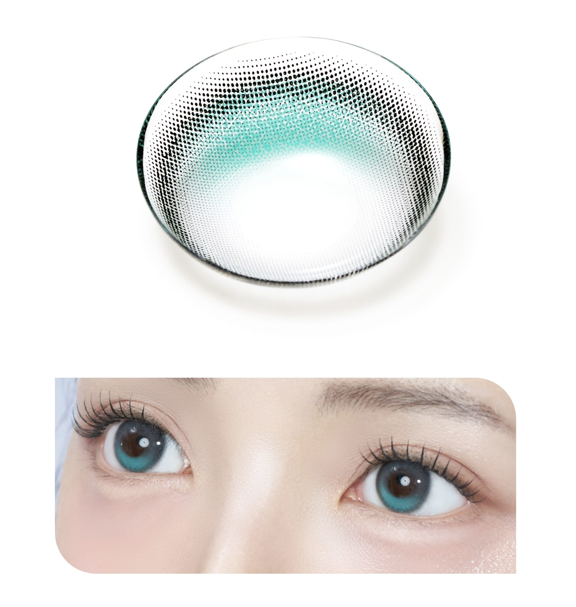 도니아, 오브 블루, 한달용 3만9천원, Lenssis.