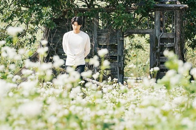 tvN <도깨비> 스틸컷 