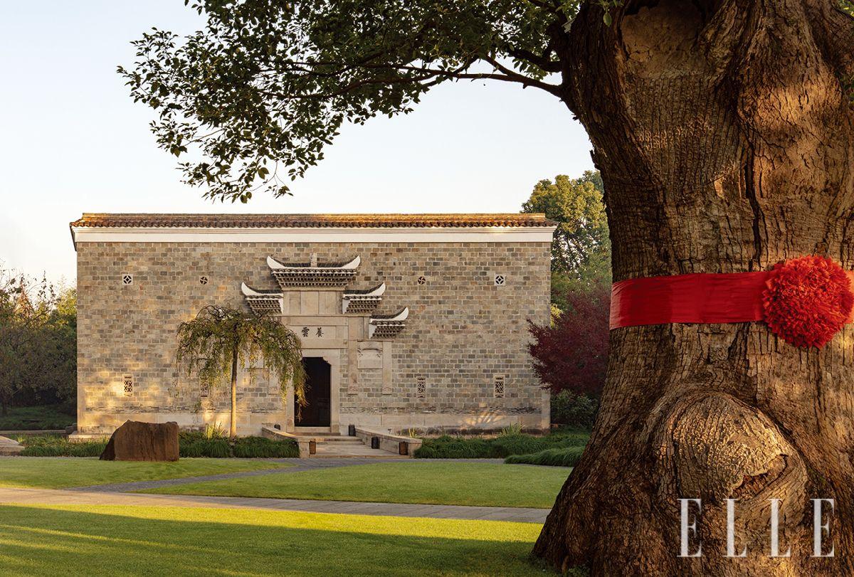 아만양윤으로 들어서면 보이는 풍경. 장수와 재생을 상징하는 1600년된 고목에 고대 우물의 물을 길어 정성스럽게 의식을 진행한다.