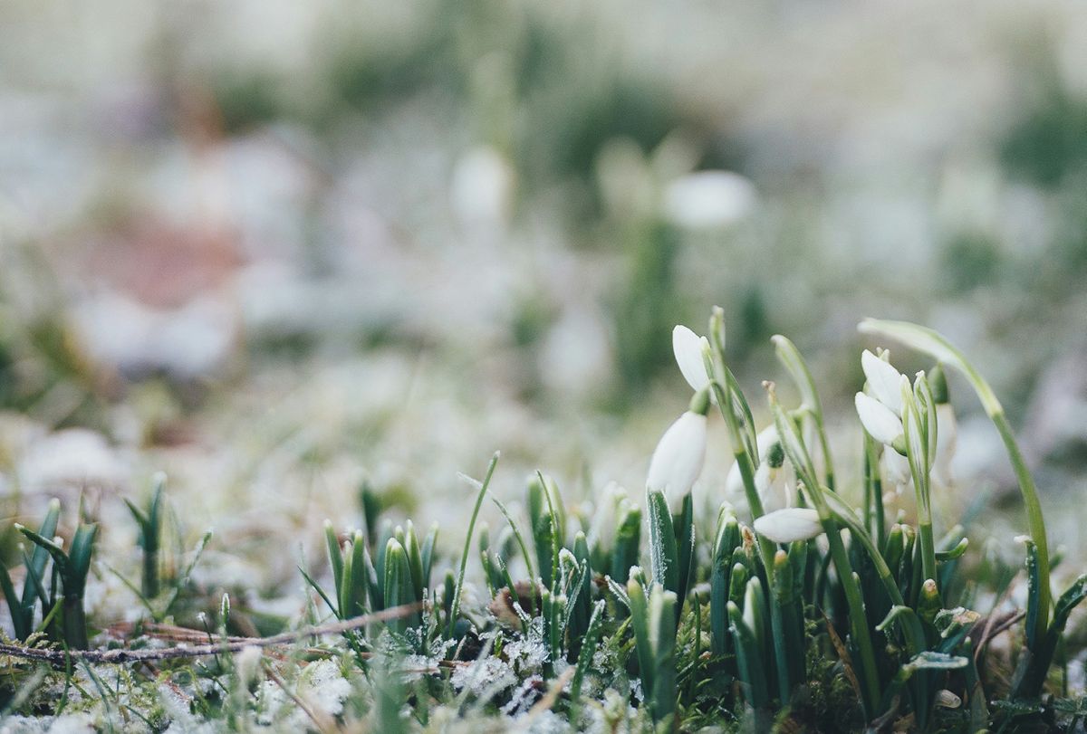 ©unsplash