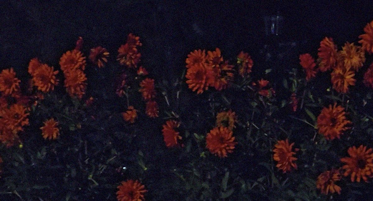 에스더쉬퍼 '도미니크 곤잘레스 포에스터'의 작품 <메테오리움 III>.