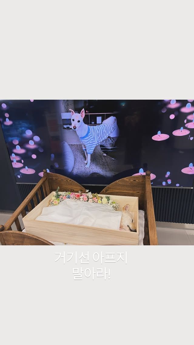 월이와 김고은 