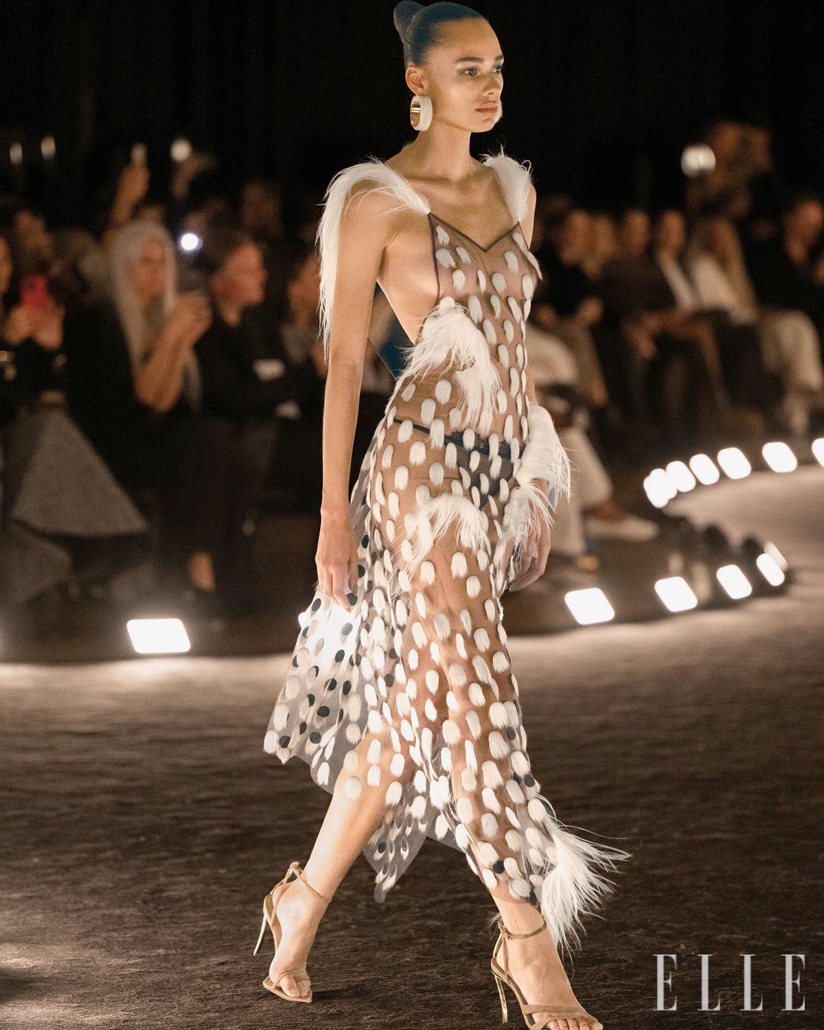 Schiaparelli