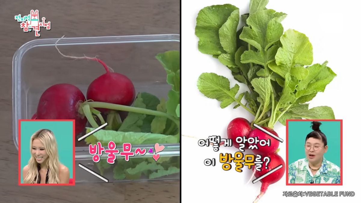 방송에서 다이어트 비결 공개하는 다영 