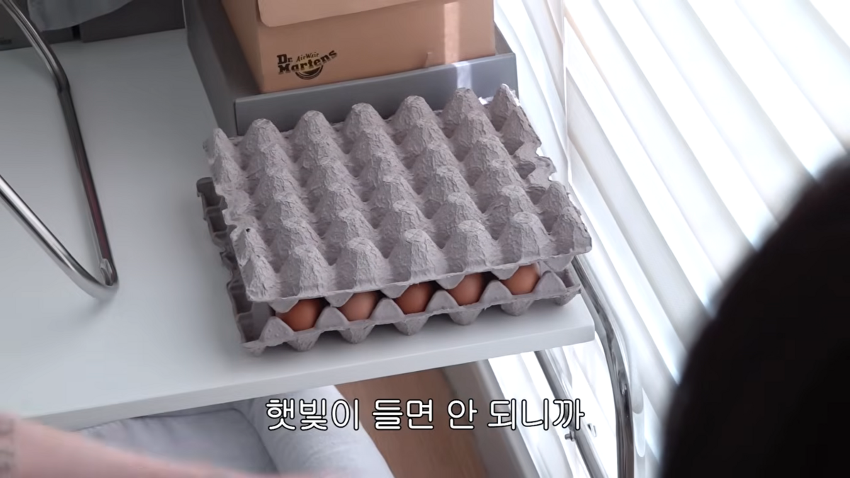 계란을 주식으로 꼽은 서인영 