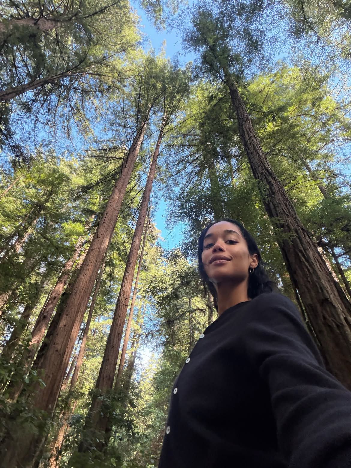 @lauraharrier