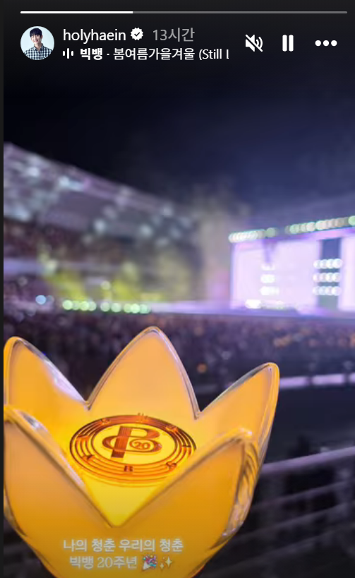 빅뱅 콘서트 관람한 정해인 