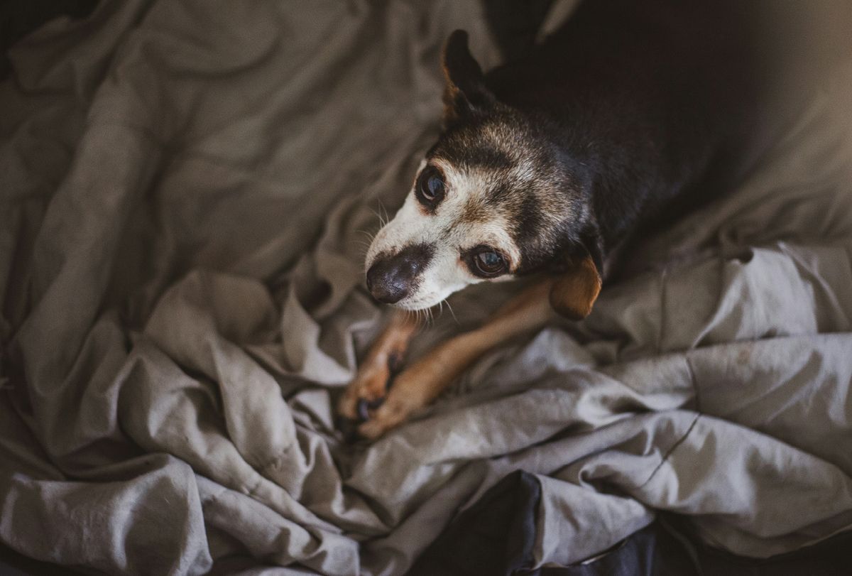 © unsplash