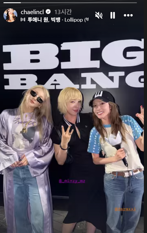 빅뱅 콘서트 관람한 투애니원 