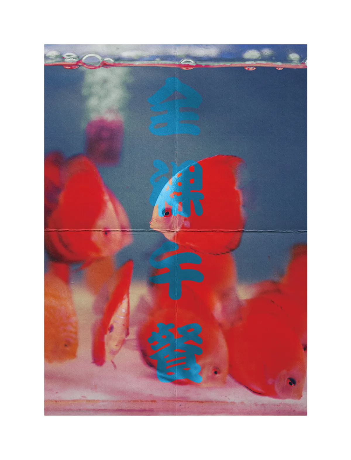 Paper Fishbowl Poster