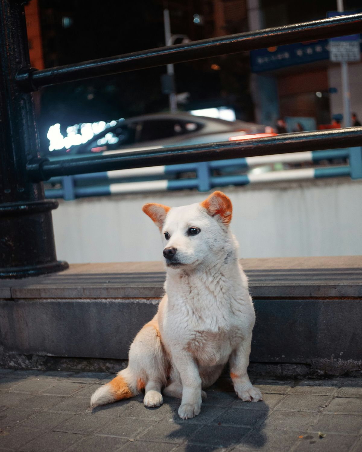 ©unsplash