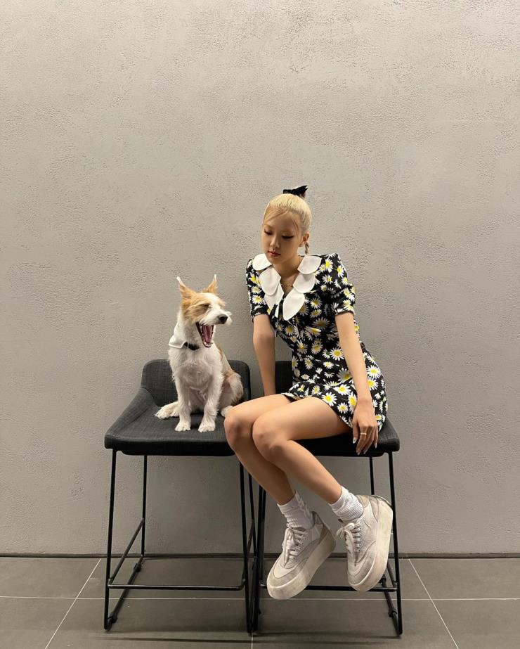 @roses_are_rosie