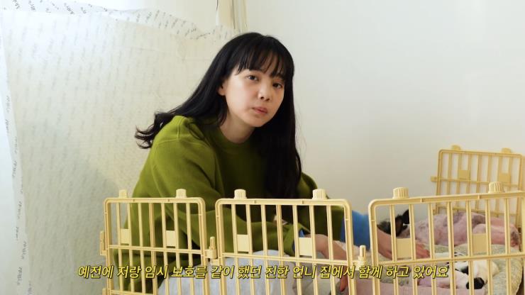 윤승아 유튜브 영상 캡처