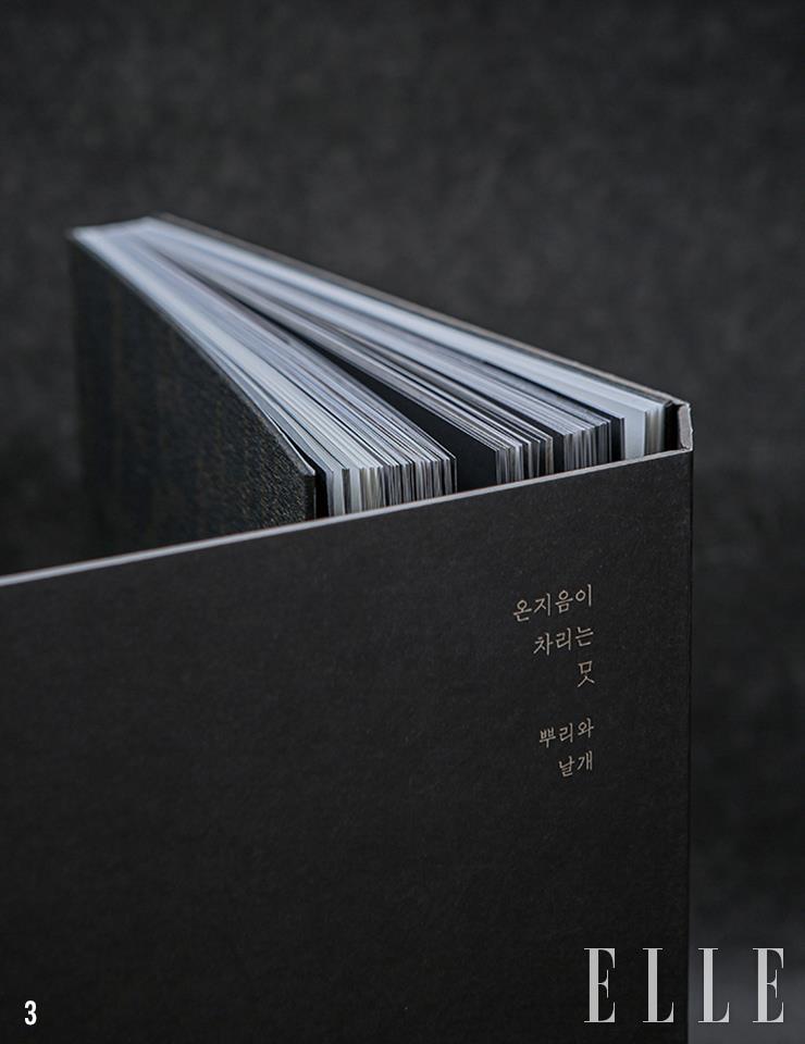 3 온지음 맛공방의 세 번째 요리책 <온지음이 차리는 맛-뿌리와 날개>. 레서피와 사진뿐 아니라 고지도, 구본창의 청자 사진, 전문가와 문인들의 개성 음식에 대한 글까지 꾹꾹 눌러 담았다.