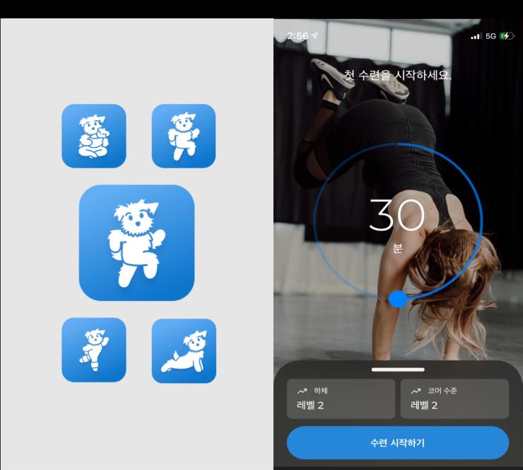 다운독 HIIT(고강도인터벌트레이닝)