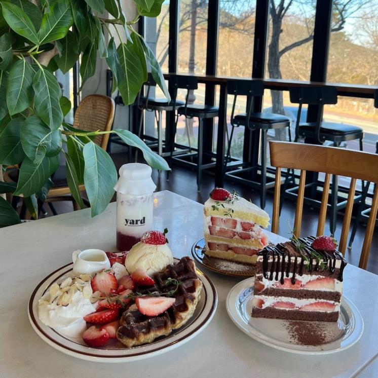 @cafeyard____
