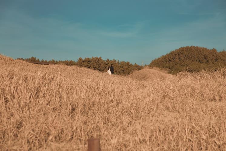 신두리해안사구