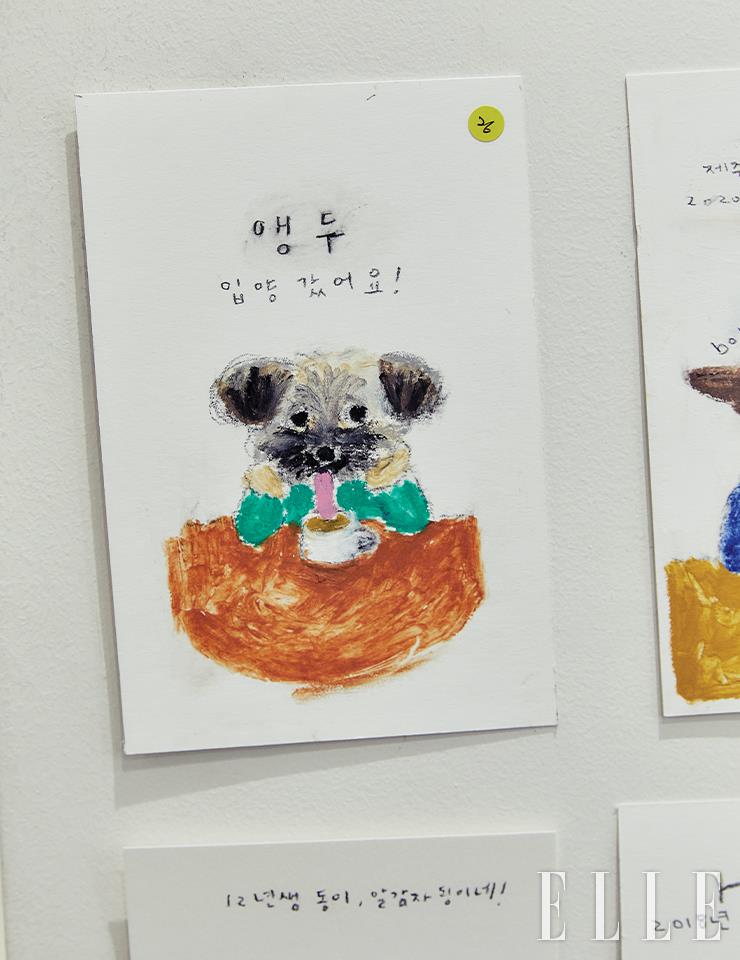SNS에서 알게 된 앵두.