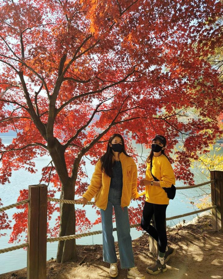 @leesiyoung38