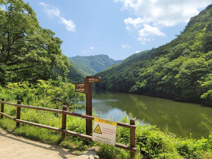 주산지
