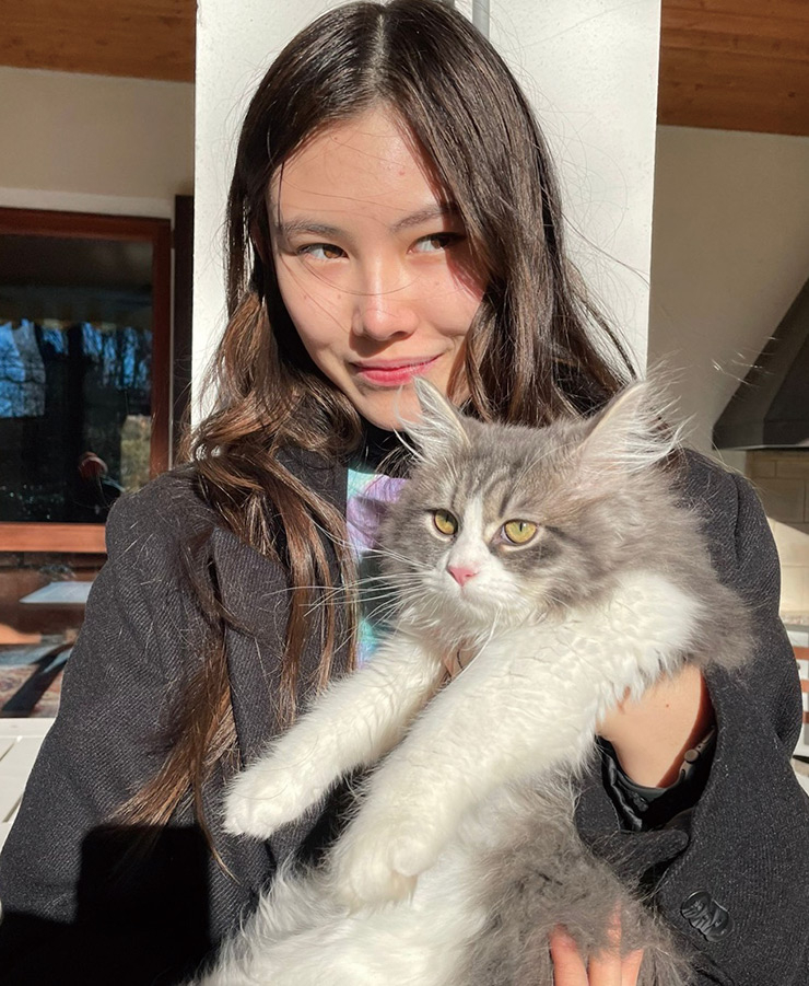 새로운 가족이 된 시베리아 고양이