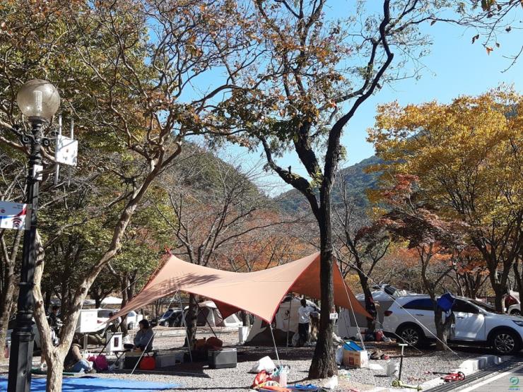 벽계야영장
