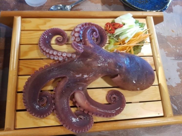 삼척보스대게