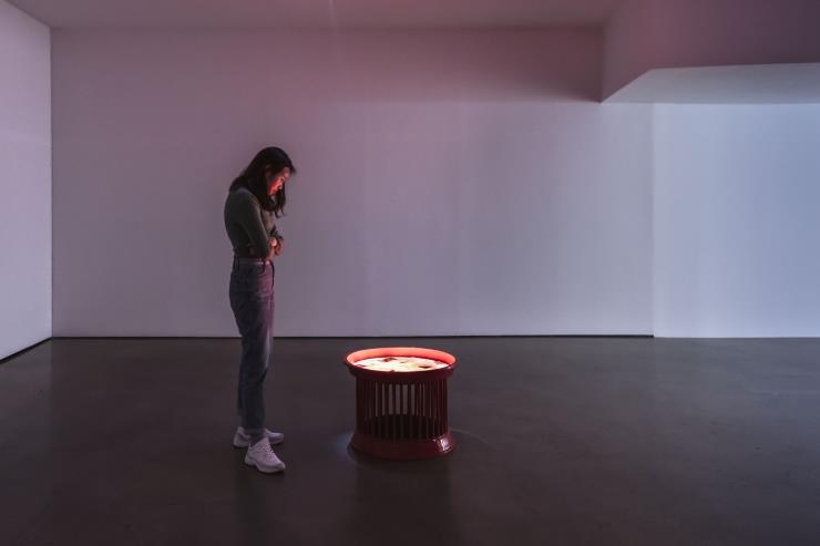 만다라 시리즈, 1997-1988, 싱글 채널 비디오, 컬러, 사운드, 캔톡, 가변크기