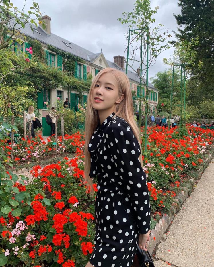 @roses_are_rosie