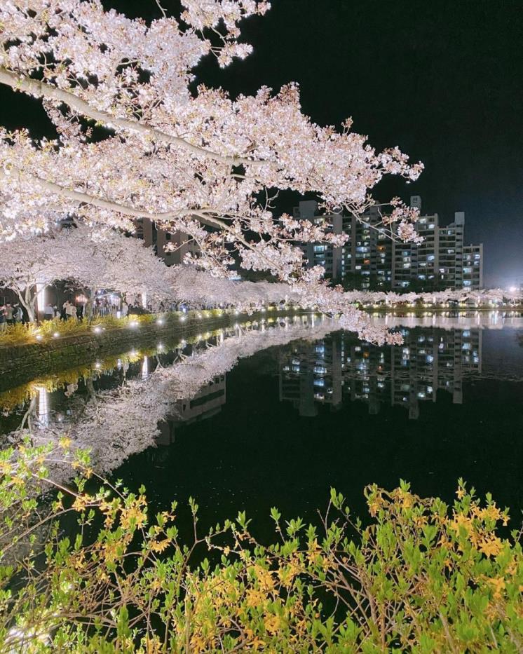연화지