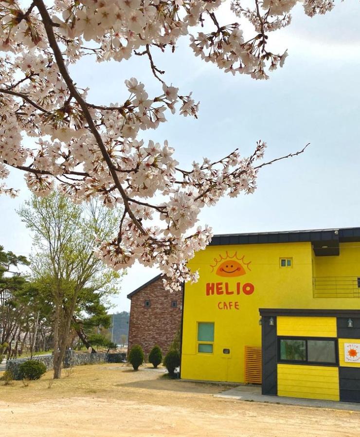헬리오