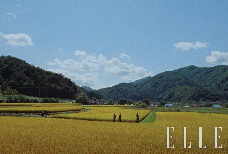 동현과 소영이 정체성을 찾기 위해 돌아간 강원도 장면.
