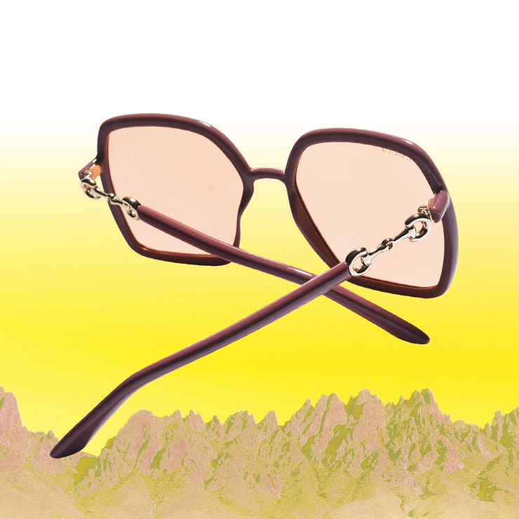 홀스빗 디테일의 틴티드 선글라스는 가격 미정, Gucci.