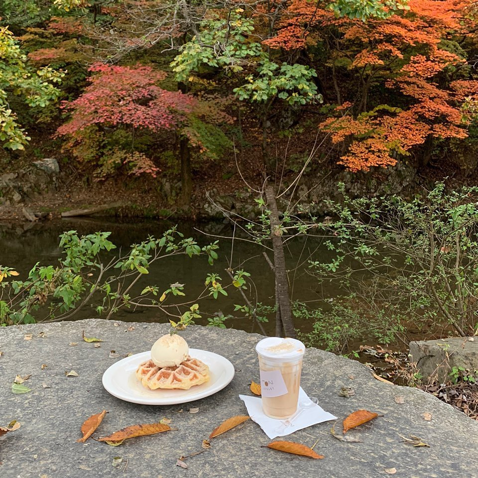 몽쥬이에