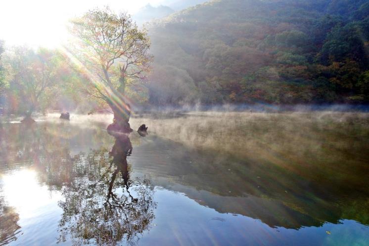 주산지