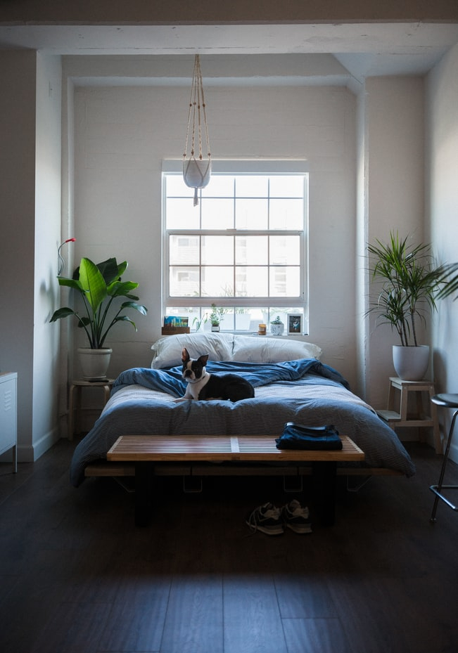 Mike Marquez on Unsplash