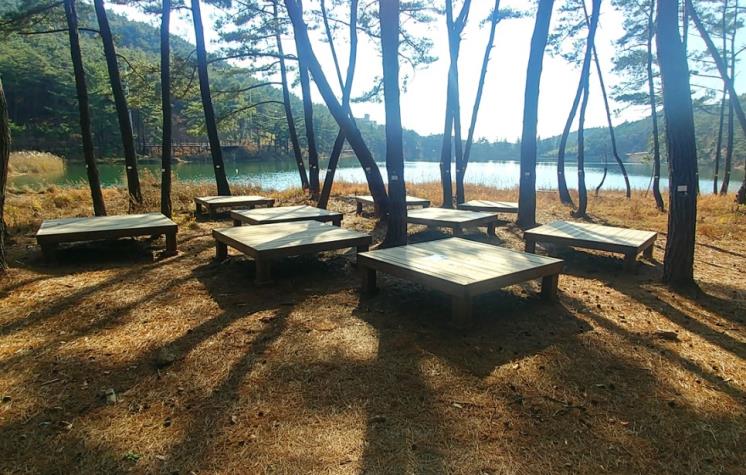 치유의 숲
