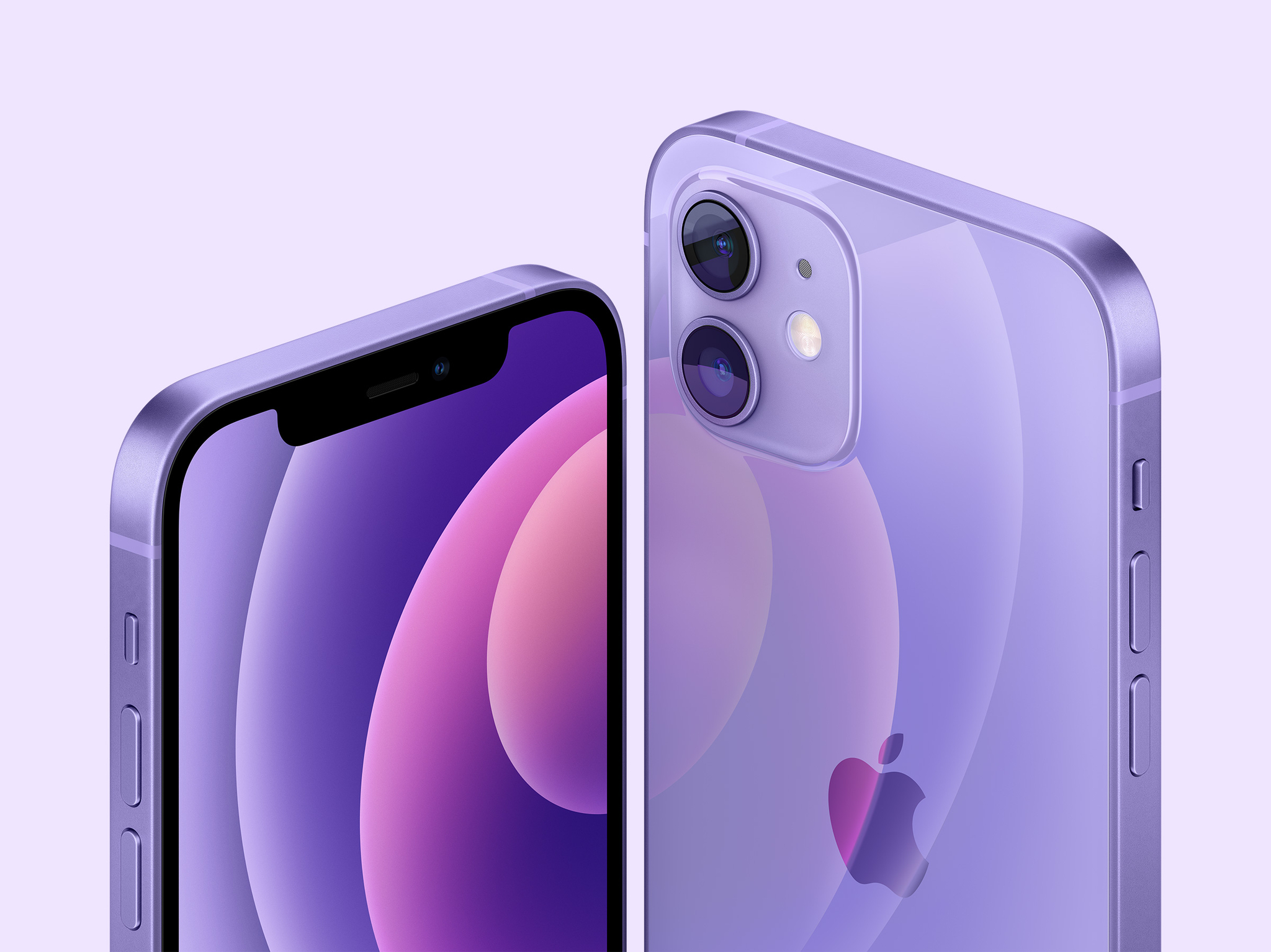 사진 apple