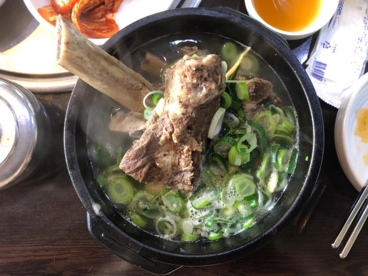 예신 응피디 다이어트 도시락