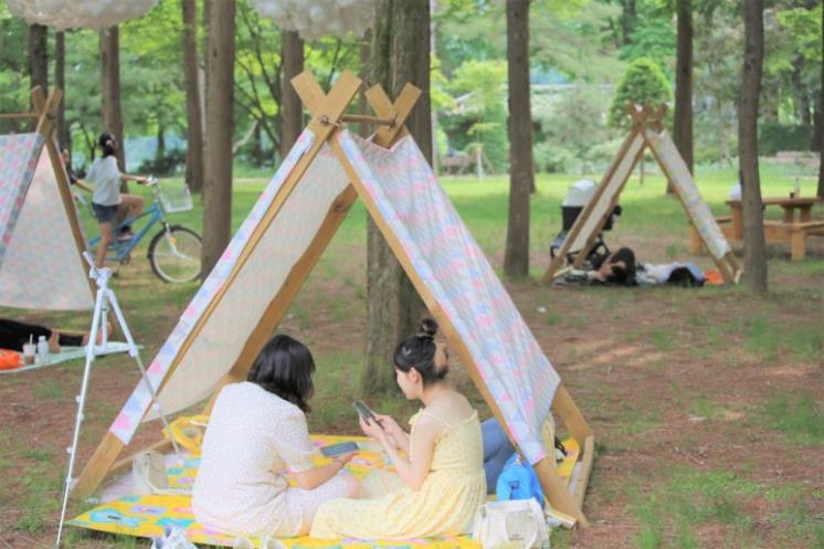 남이섬 어쿠스틱 청춘 페스티벌