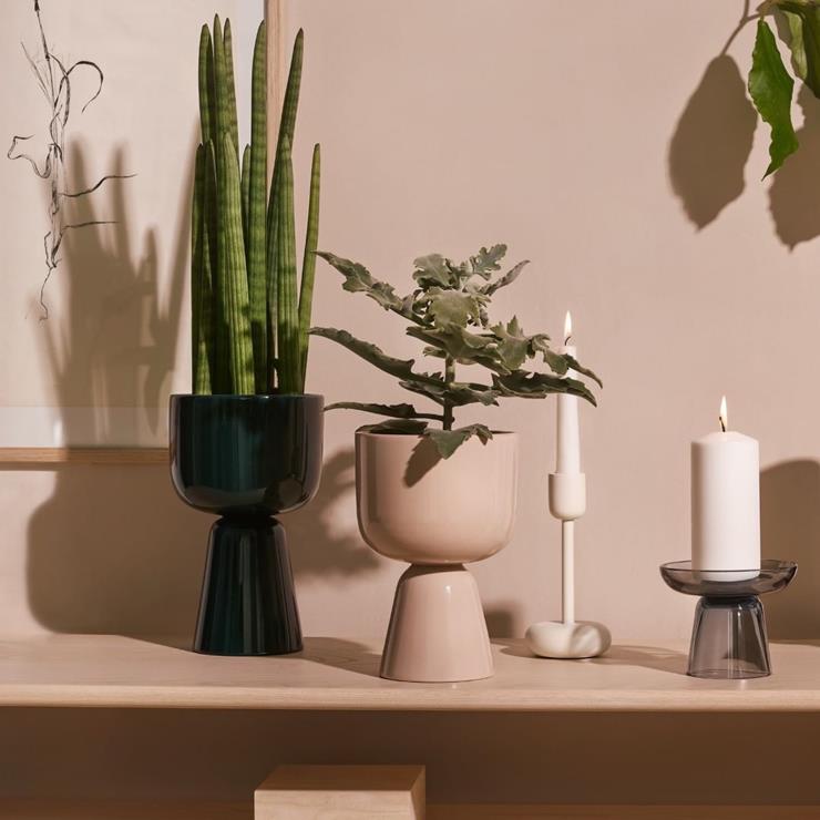 이딸라의 화분 나뿔라. 인스타그램 @iittala