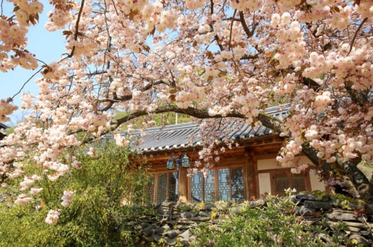 서산시 공식 블로그