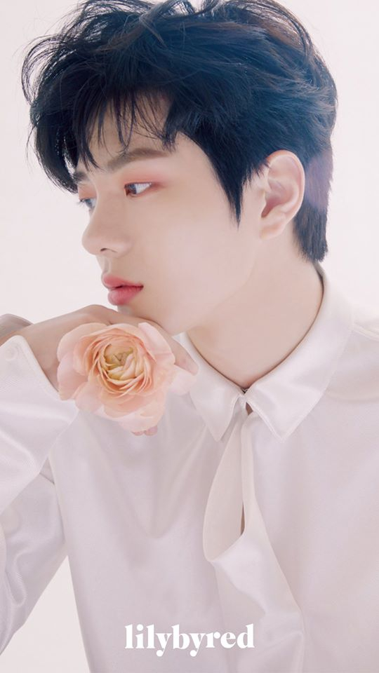 '릴리바이레드'의 모델 골든차일드 보민