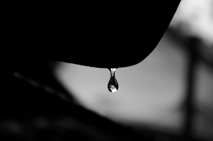 Unsplash