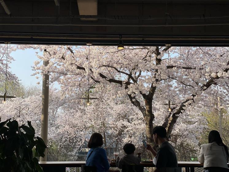 @cafeyard____